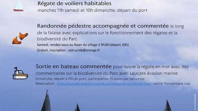 Animations du YACHT CLUB PORT LEUCATE