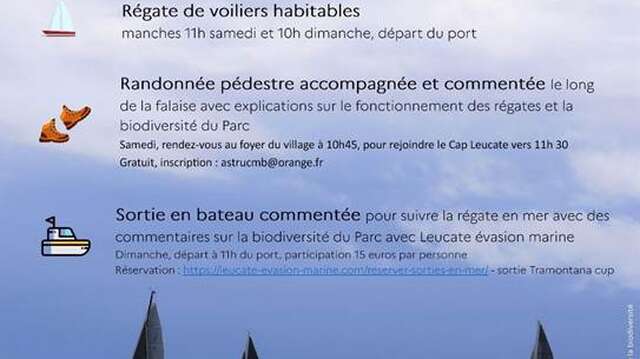 Animations du YACHT CLUB PORT LEUCATE