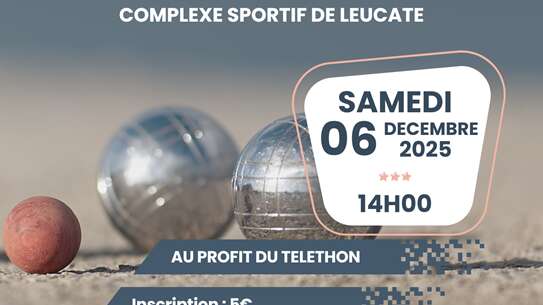 Concours de pétanque à la mêlée