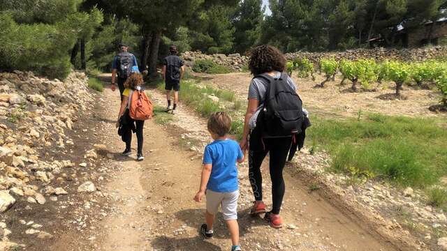 Randonnée : Le Sentier du vigneron