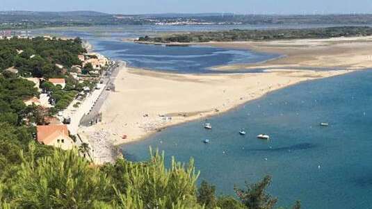 Opération plage propre