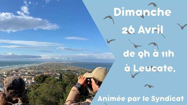 Balades Nature avec la Maison de l'Etang