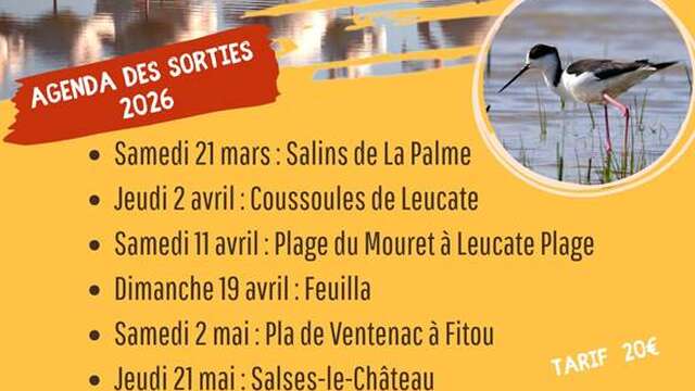 Sortie Nature avec La Nature du Sud