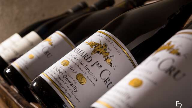 Dégustation spéciale Vente des Vins des Hospices de Beaune - Domaine Loubet-Dewailly