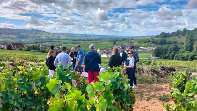 SUR LES PAS DU VIGNERON - VISITE FACILE DES VIGNES DE SANTENAY