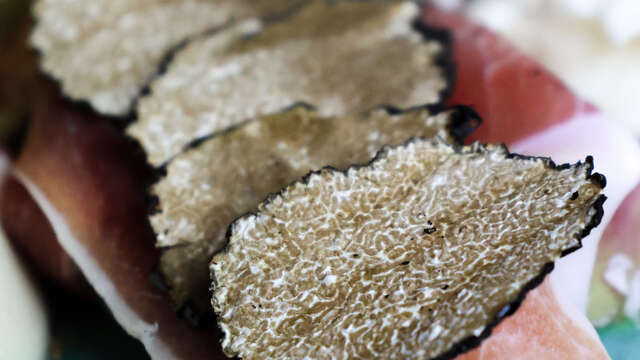 Maison aux Mille Truffes