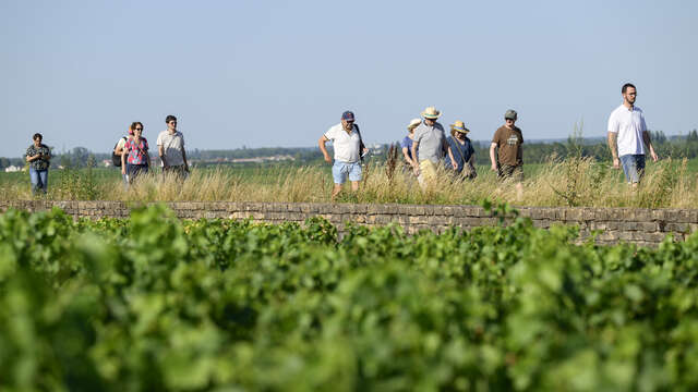 Patrimoine mondial en fête