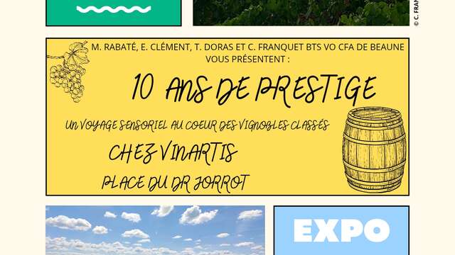 10 ans de Prestige : un voyage sensoriel au cœur des vignobles classés chez Vinartis