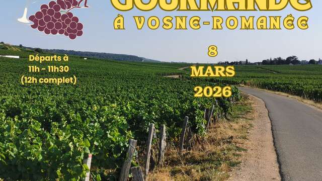 130 ans Domaine Rion : Balade Gourmande à Vosne Romanée
