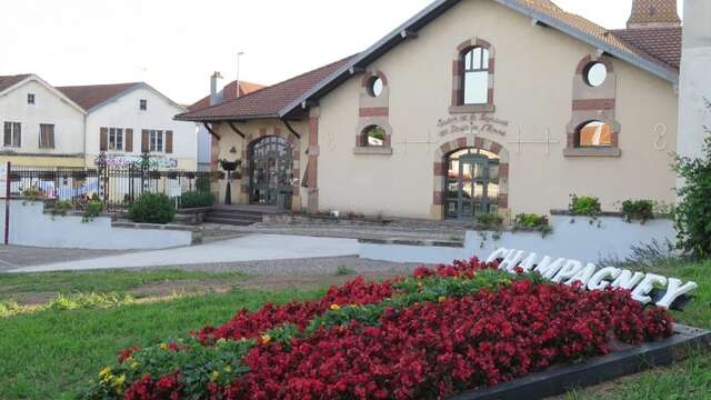 Maison de la Négritude et des Droits de l'Homme