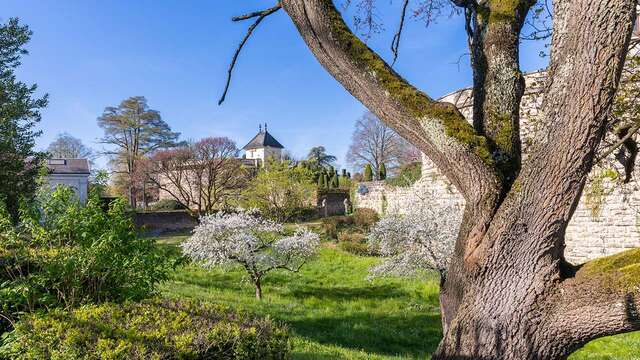 Visite guidée des remparts :les arbres sur les remparts
