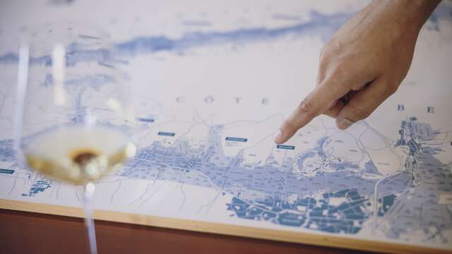 Domaine Chanson - Dégustation Prestige