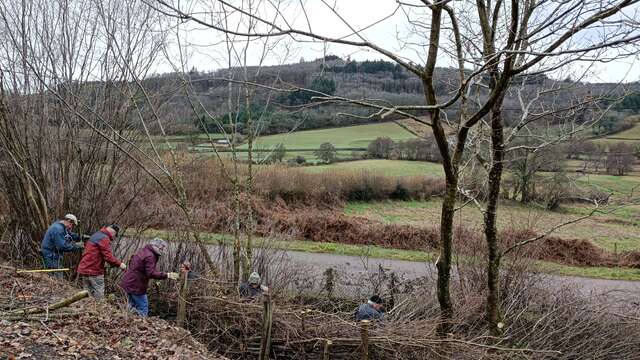 Le Mois de la Plèchie - Chissey-en-Morvan