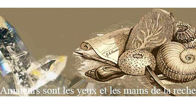 Musée des sciences de la terre Pierre Cretin