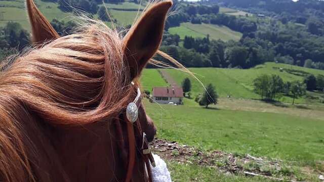 Trace equestre des ballons comtois