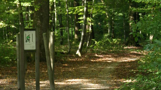 Parcours Sportif - Bois du Mortard