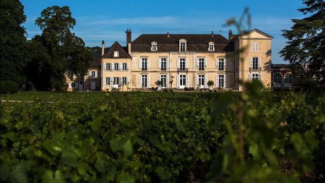 Château de Meursault - Dégustation Vente des Vins 2023