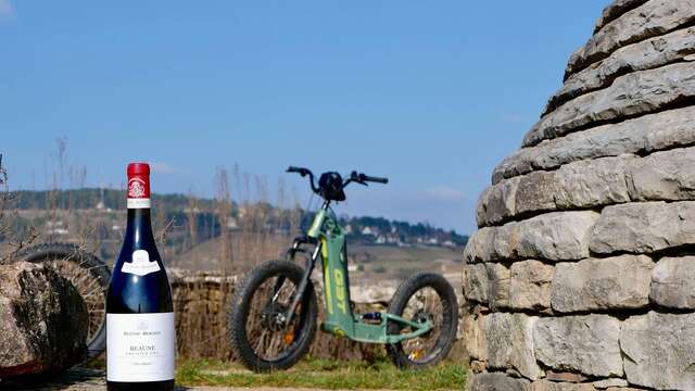 Balade dans le vignoble en trottinette éléctrique