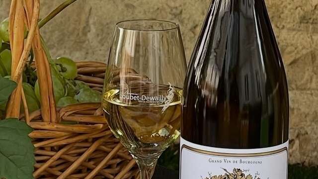 Domaine Loubet-Dewailly VDV 2026 dégustation "Exceptionnelle" comparative: Puligny-Montrachet 'Les Champs Gains' & Meursault 'Clos Saint Philibert' 2020 à 2023