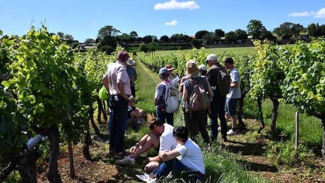 Festival de Bach à Bacchus - Visite théâtralisée  "La Clé des sols - A la recherche du pinot perdu"