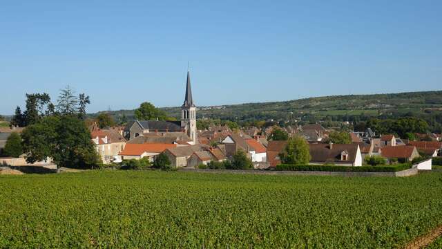 Balade à Santenay