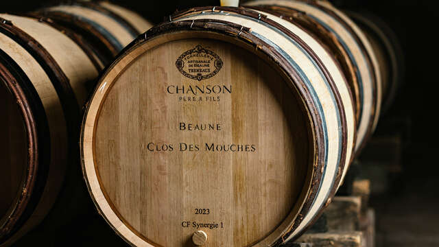 Domaine Chanson - Visite Prestige