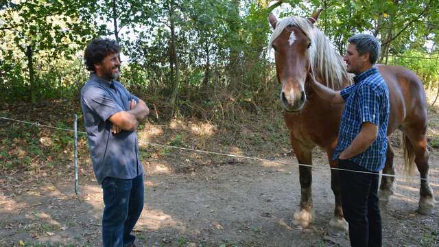 Domaine Chevrot et Fils