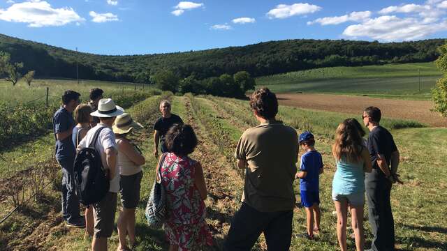 Visites d'été à la ferme Fruirouge©