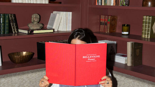 Bellevigne Bourgogne