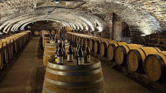 Hôtel-Dieu - Hospices de Beaune 
2026 - MOUVEMENT(S)
[MON HÔTEL-DIEU] Histoires viticoles, histoires hospitalières : la Maison Bichot & la Vente des vins