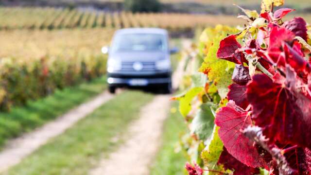 Safari Tours - Tour n°4 Dégustation Domaines & Château