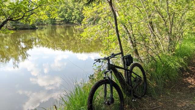 VTT n°52 Le Piémont vosgien