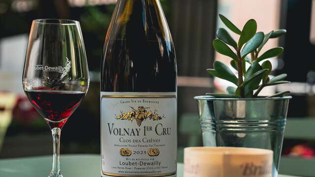 Initiation à la dégustation de vins et fromages