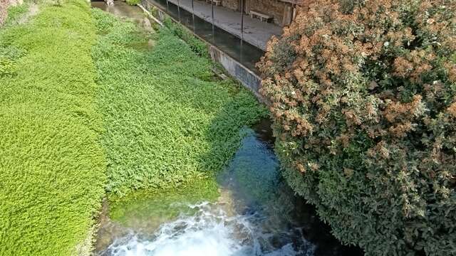Visite de Beaune "entre cours & jardins"