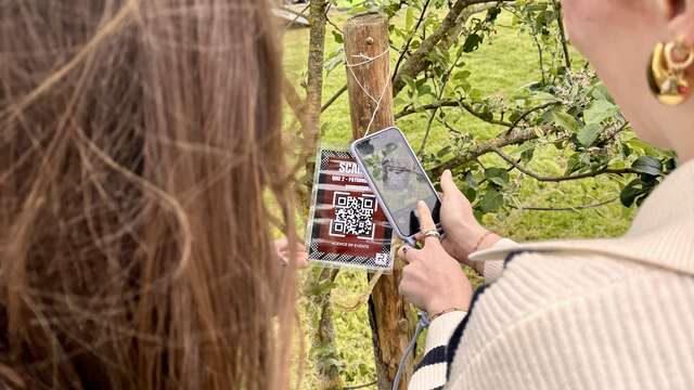 Wine Hunt – La Chasse au Trésor Œnologique