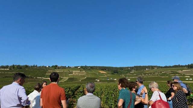 Dégustation et visite des climats du vignoble de Beaune