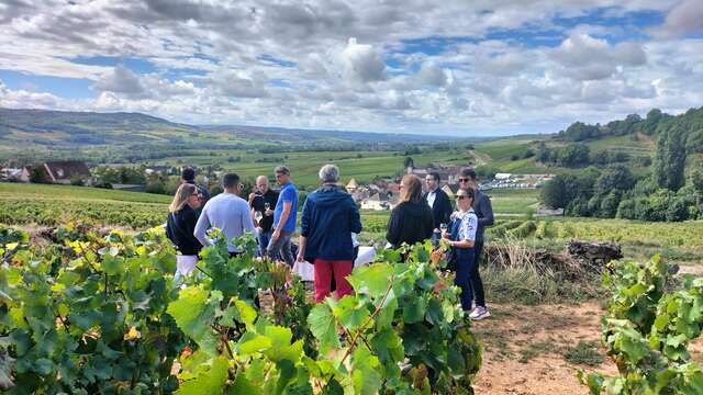 Les trésors cachés du vignoble de Santenay