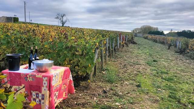 MISSION VIGNERON l'âme d'un terroir, le défi entre vos mains