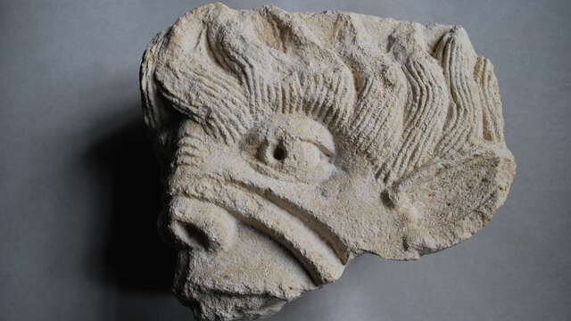 Les vacances des 7/12 ans