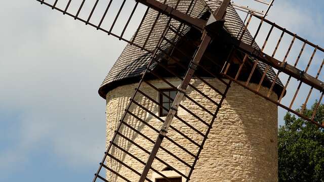 Visite guidée « à la découverte du Moulin Sorine & du vignoble de Santenay »