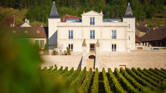 Vignobles en scène : rendez-vous « Vins et Théâtre » au Château de Saint Aubin