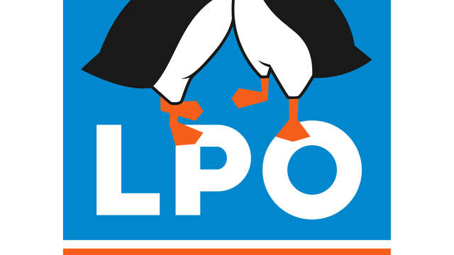 Atelier « fresque de la biodiversité » à Beaune