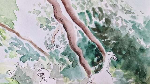 Stage d'aquarelle