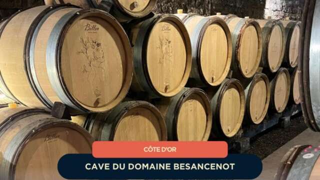 Odyssée viticole nocturne au Domaine Besancenot