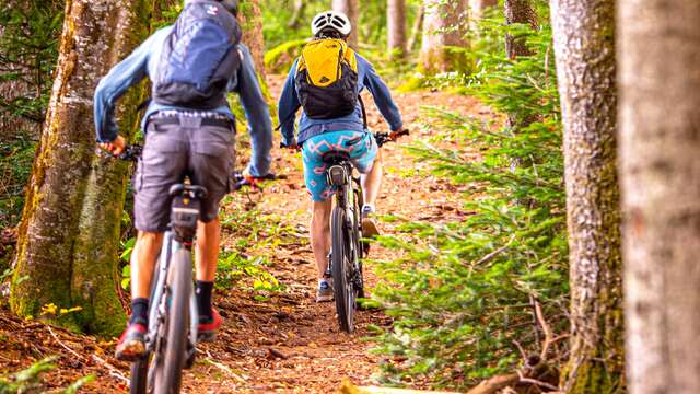 VTT n°50 - Le Beuletin