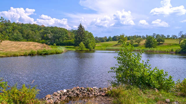 Le Plateau d'Esmoulières