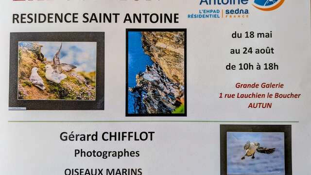 Exposition Mr Gérard CHIFFLOT