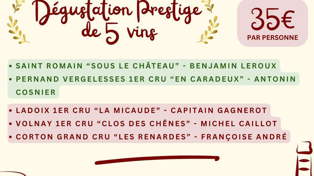 VinArtis Grands Crus - Dégustation Prestige de 5 Vins - Vente des Vins 2026
