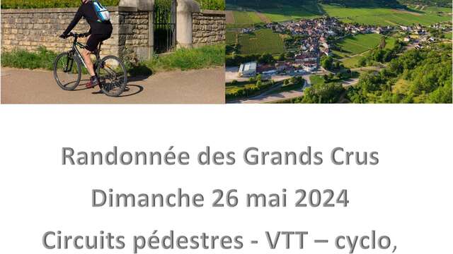 Randonnée des Grands Crus