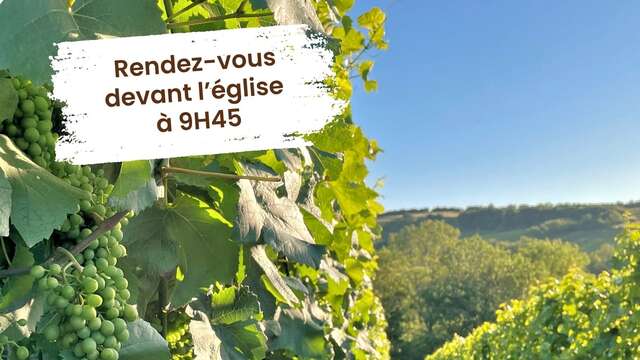 Trésors de nos villages - Paysage de vigne
